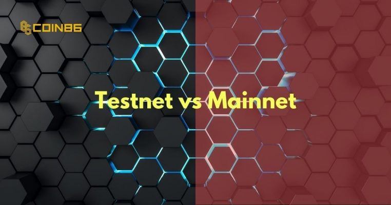 Testnet và Mainnet là gì