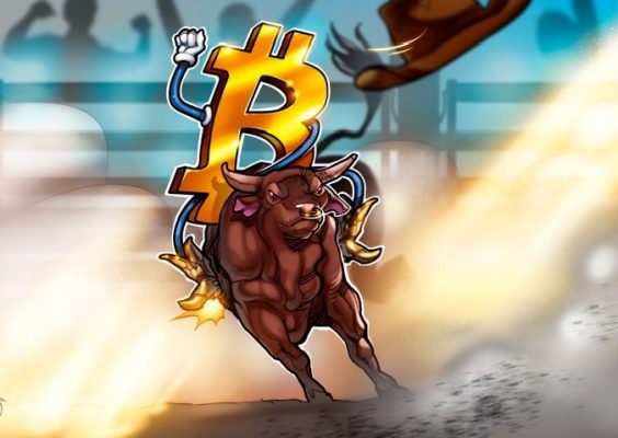 Bitcoin tăng vọt qua 43.000 USD