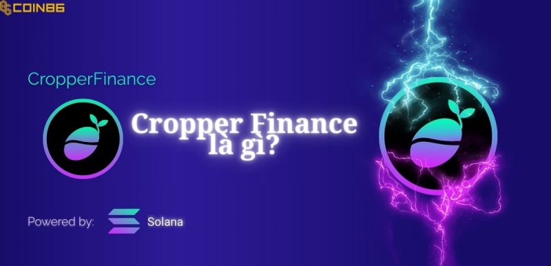 Cropper Finance là gì?