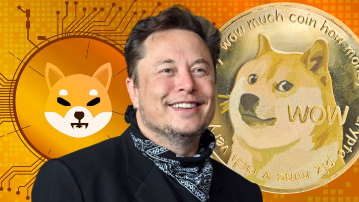 Nguyên nhân Elon Musk ủng hộ Dogecoin