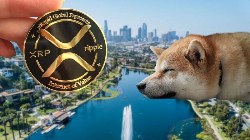 CEO Ripple nói rằng Dogecoin không tốt cho thị trường tiền điện tử
