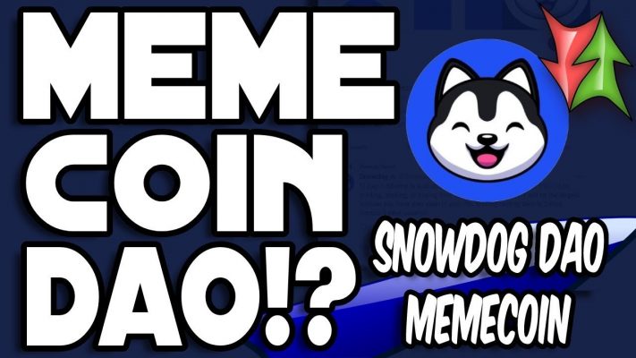 Sau 8 ngày ra mắt, Meme SnowdogDAO mất 90% giá trị
