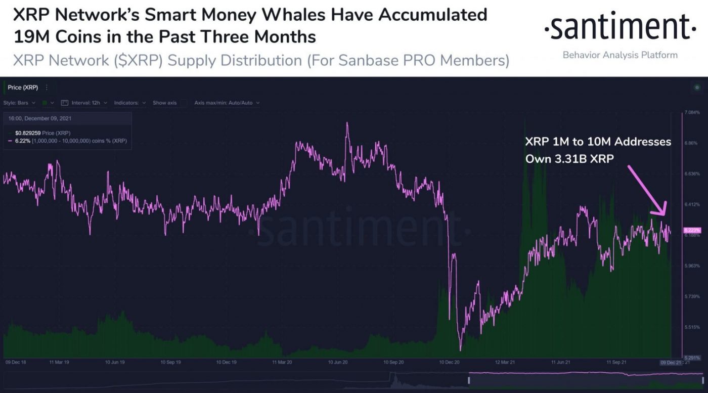 Cá voi gom 2 tỷ USD XRP khi thị trường crypto sụt giảm