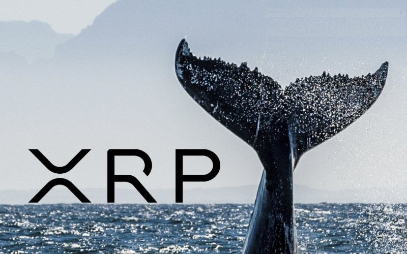 Cá voi gom 2 tỷ USD XRP