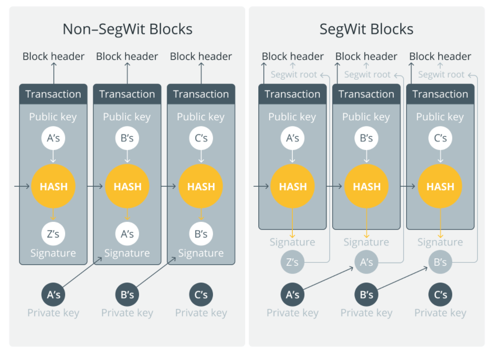 Hoạt động của SegWit