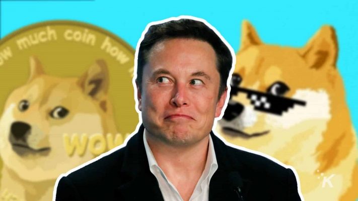 Elon Musk bị kiện vì Dogecoin